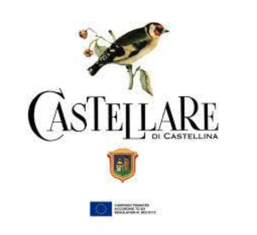 (image for) Castellare di Castellina I Sodi di S. Niccolò 2017 (WS 96)